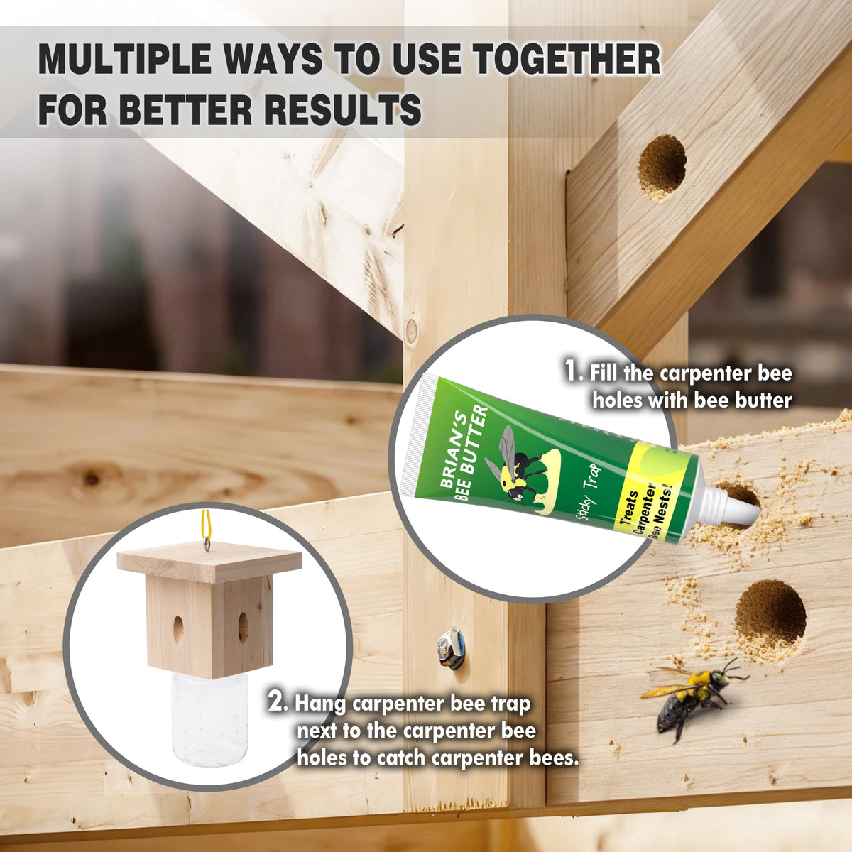 Best Bee Trap pheromone attractant guiding bees into the jar