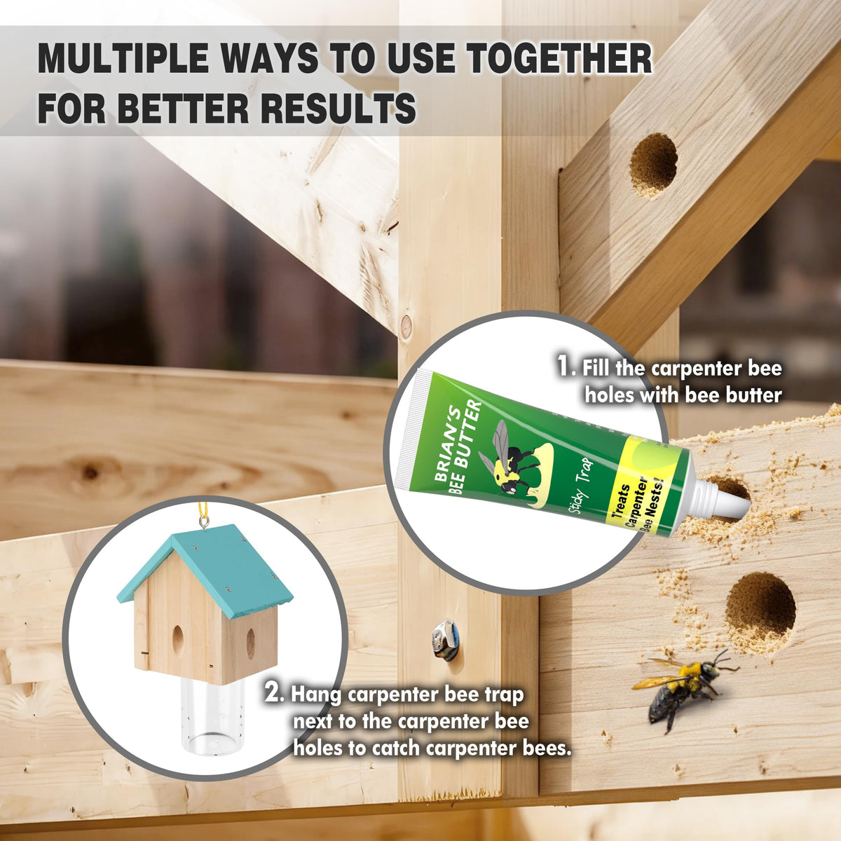 Best Bee Trap pheromone bee bait attracts carpenter bees into the trap.