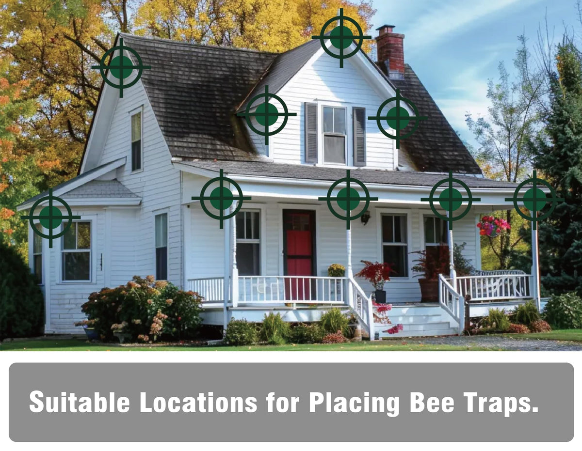 Best Bee Trap plastic jar interior view for quick deployment