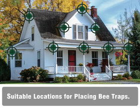 Best Bee Trap plastic jar interior view for quick deployment