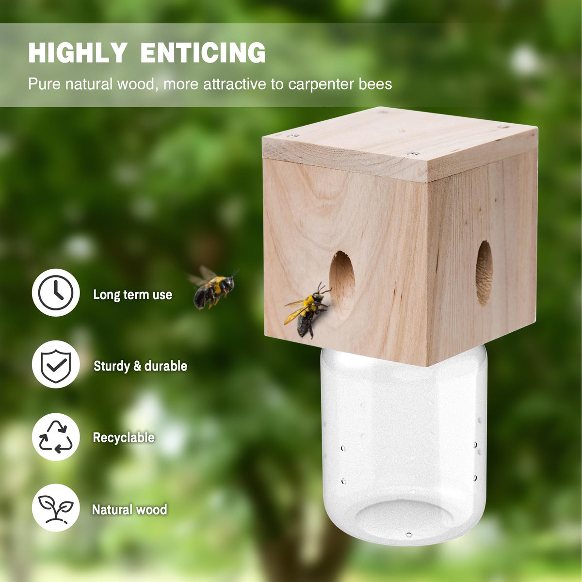 Best Bee Trap reinforced with screws and horse nails for extra strength.