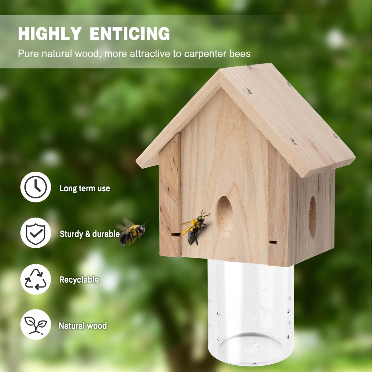 Best Bee Trap removable-vault design provides easy maintenance and quick access