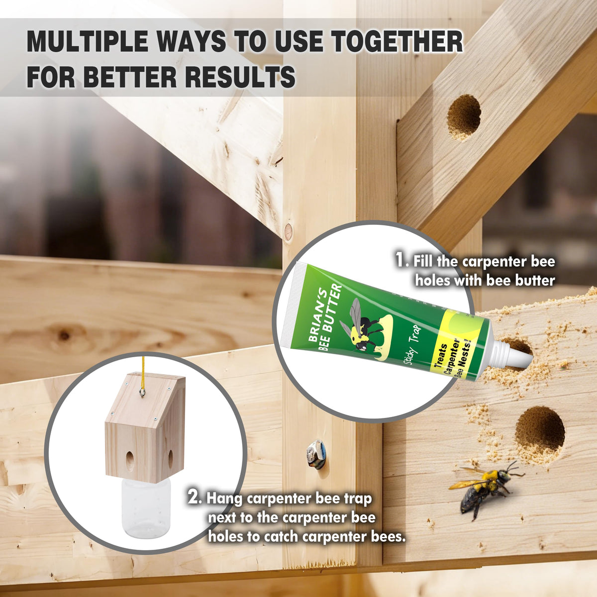 Best Bee Trap south-facing-hanging-position promotes optimal sun exposure.