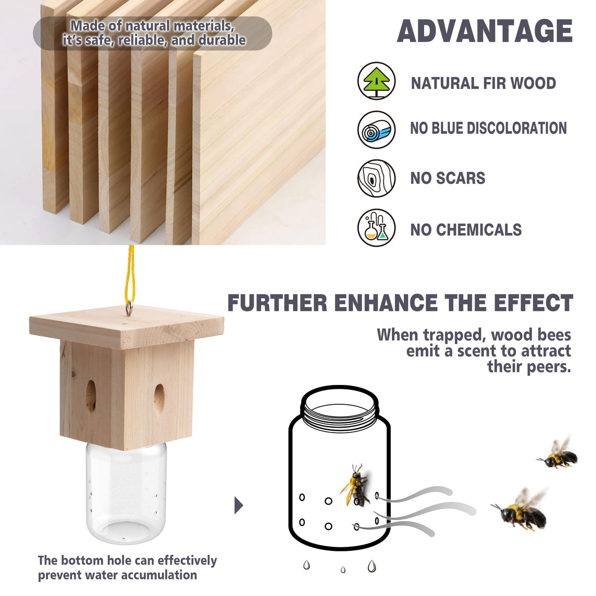 Best Bee Trap placed in sunlit spot to attract carpenter bees effectively