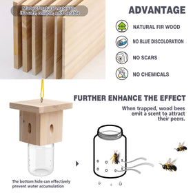 Best Bee Trap placed in sunlit spot to attract carpenter bees effectively