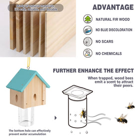 Best Bee Trap placement guide for sun exposed outdoor walls and decks.