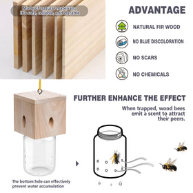 Best Bee Trap weather-resistant design withstands sun, rain, and wind.