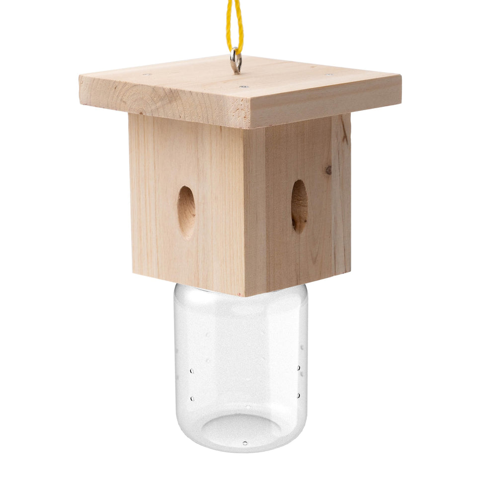 Best Bee Trap wood carpenter bee trap outdoor jar visible on exterior wood for protective use