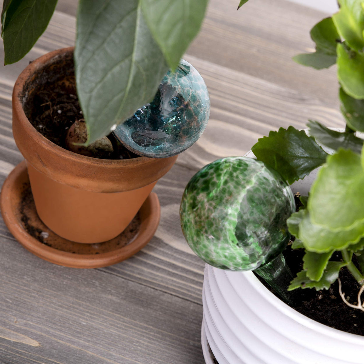 Besti durable borosilicate glass globes for indoor and outdoor use.