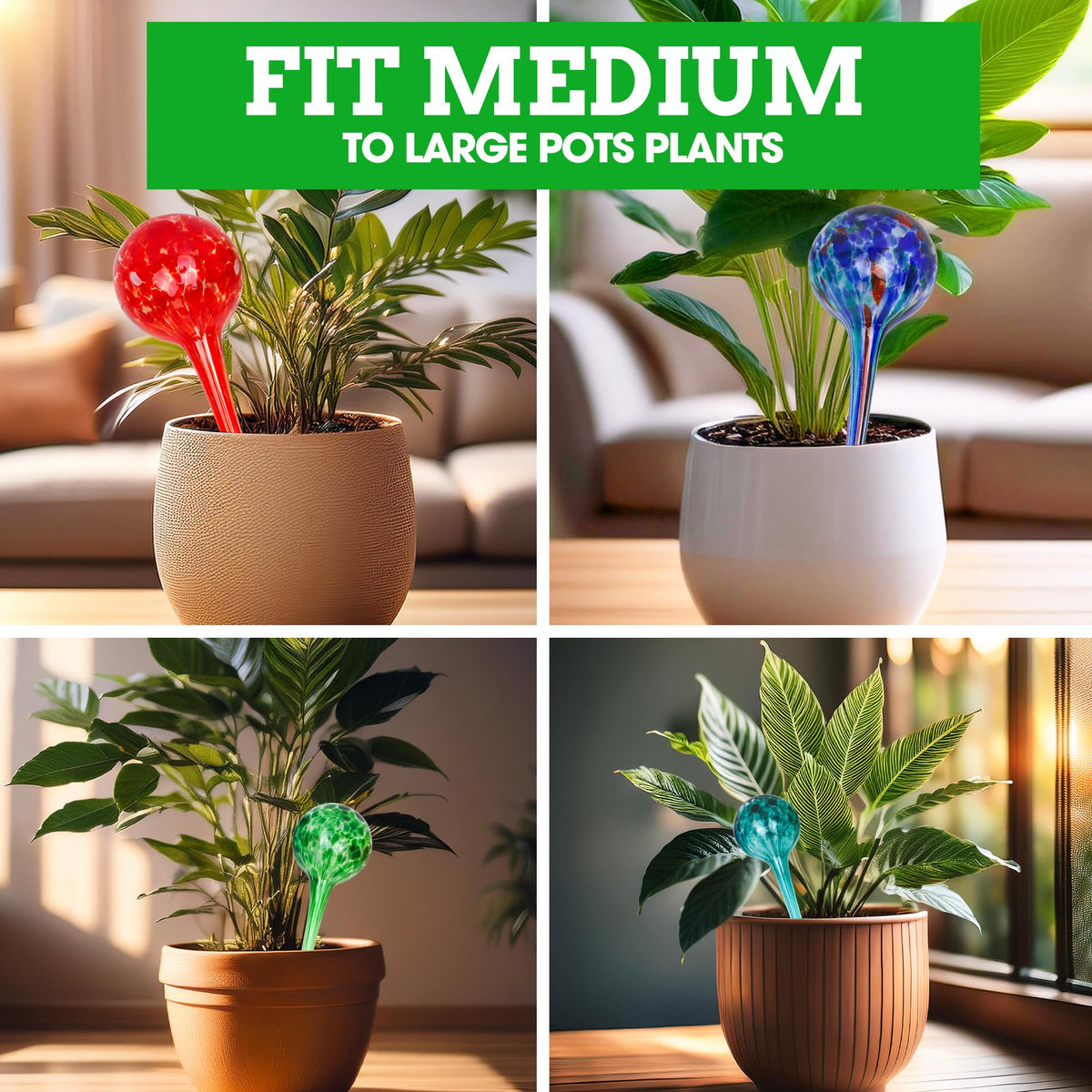 Besti self-watering globes being easily refilled for reuse
