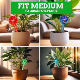 Besti self-watering globes being easily refilled for reuse