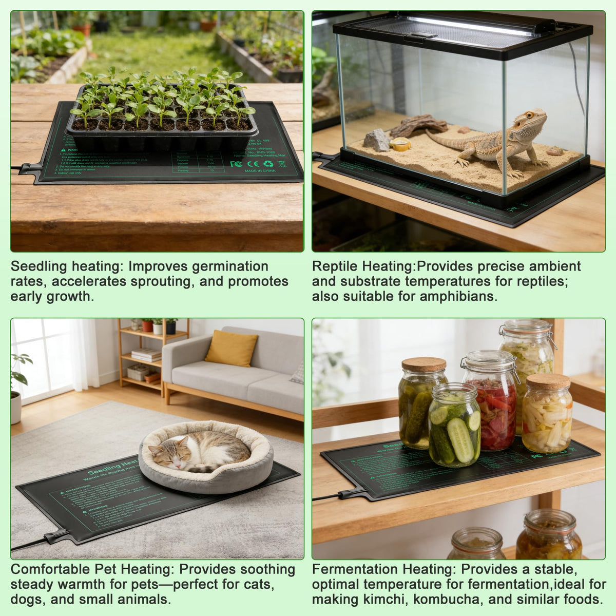 Bestio heat mat in greenhouse supporting healthy seedling growth.