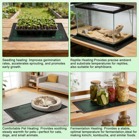 Bestio heat mat in greenhouse supporting healthy seedling growth.