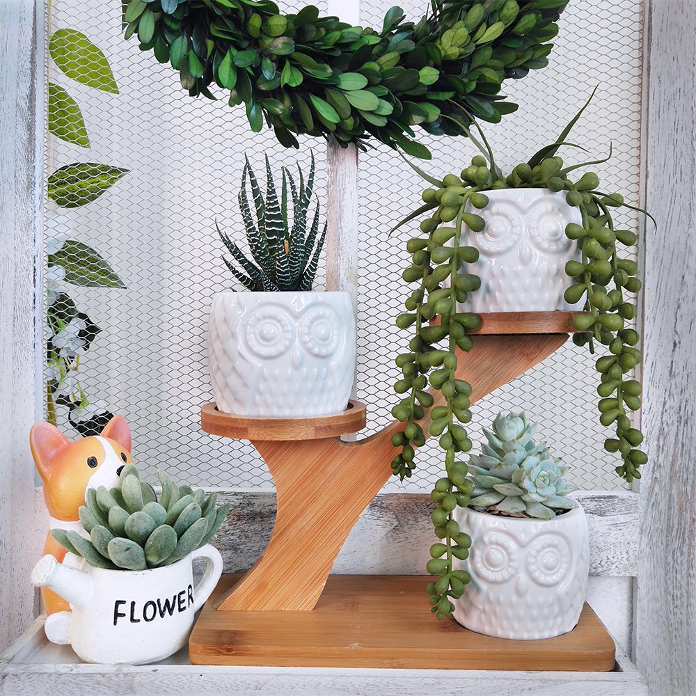BESTTOYHOME ceramic pots feature drainage holes to support proper watering.