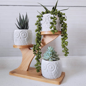 BESTTOYHOME a versatile gift option for plant lovers and home décor fans.
