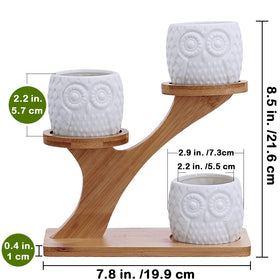 BESTTOYHOME ideal mini cactus and small plants for bright windowsills.