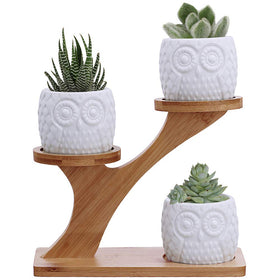 BESTTOYHOME owl succulent pots on a 3-tier bamboo stand for stylish indoor greenery.