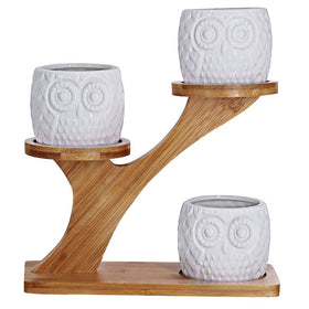 BESTTOYHOME white ceramic planters with drainage for healthy live plants on shelves.