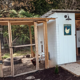 Bestylez unique gift idea for chicken lovers and farmhouse fans.