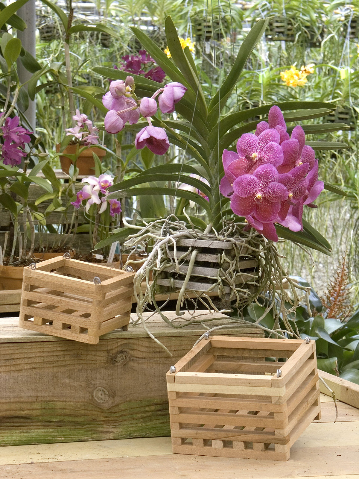Better-GRO 6-inch square wood basket ready to hang or set on surfaces.