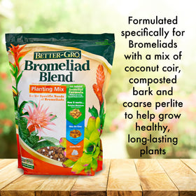 Applying Better-Gro Bromeliad Blend with a scoop simplifies gentle feeding.