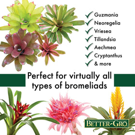 Close-up of Better-Gro Bromeliad Blend granules designed for balanced bromeliad nutrition.