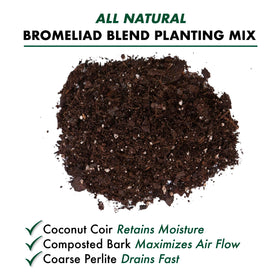 Better-Gro Bromeliad Blend label and bag shown for easy reference.