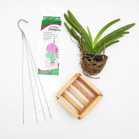 Better-GRO Cedar Slat Vanda Basket close-up highlights rounded corners and natural wood texture.