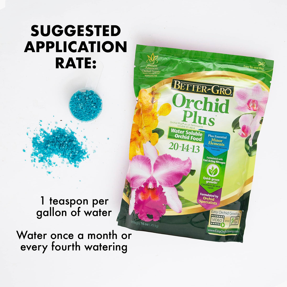 Healthy orchid with Better-Gro Orchid Plus shows vigorous growth and lush foliage.