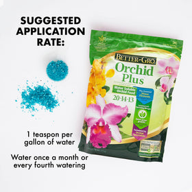 Healthy orchid with Better-Gro Orchid Plus shows vigorous growth and lush foliage.