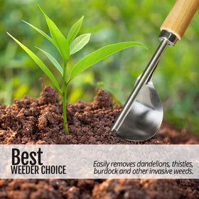 Betus stainless steel bend-proof construction lasts season after season.