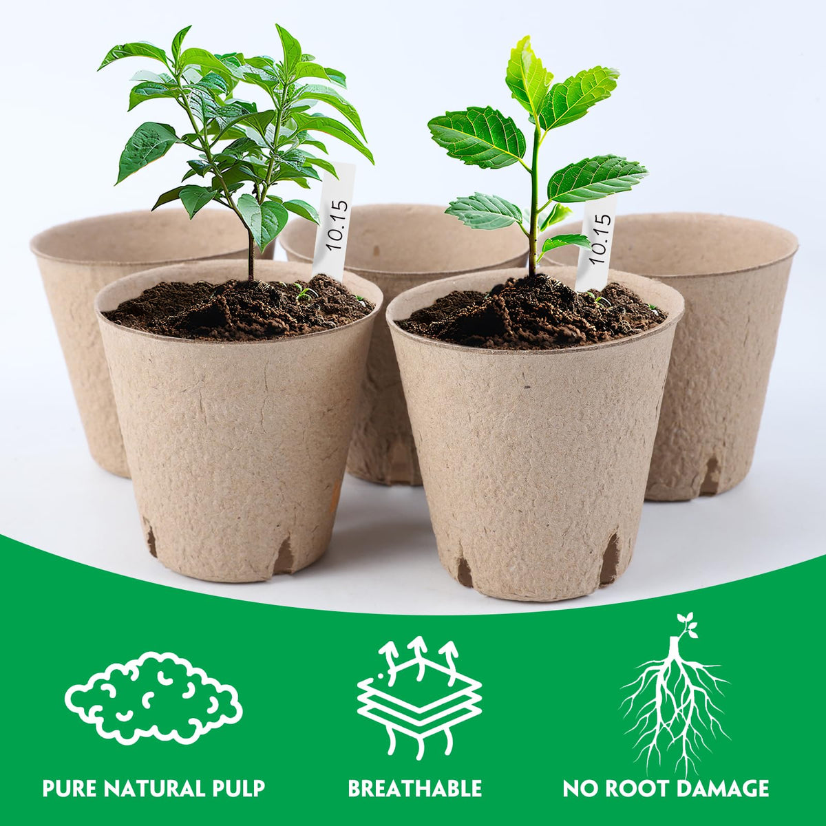 BEWBBAT pots feature drainage holes for proper water management.
