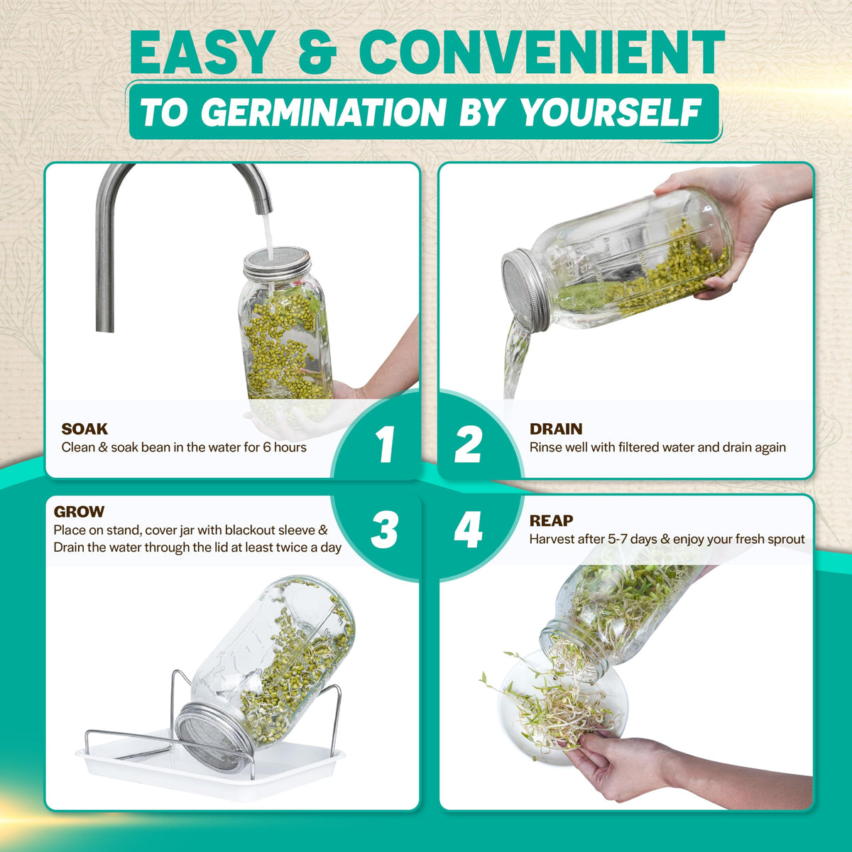 Bewbow screen lids help control germination and keep sprouts clean