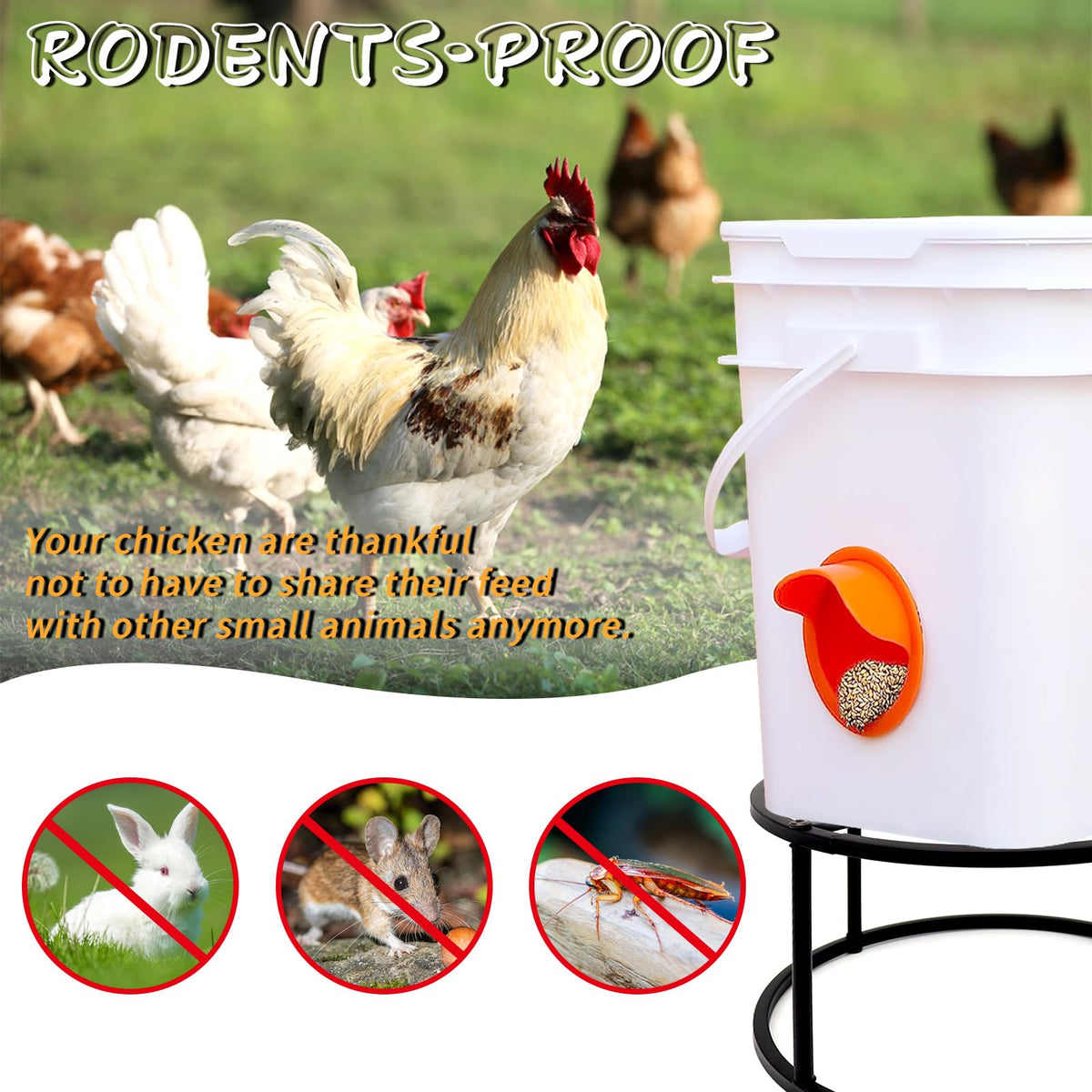 Beyoogeem elevated feeder-waterer keeps bowls reachable and clean.