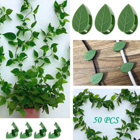 Beyoslf green plant-climbing clip blends with foliage while supporting growth.