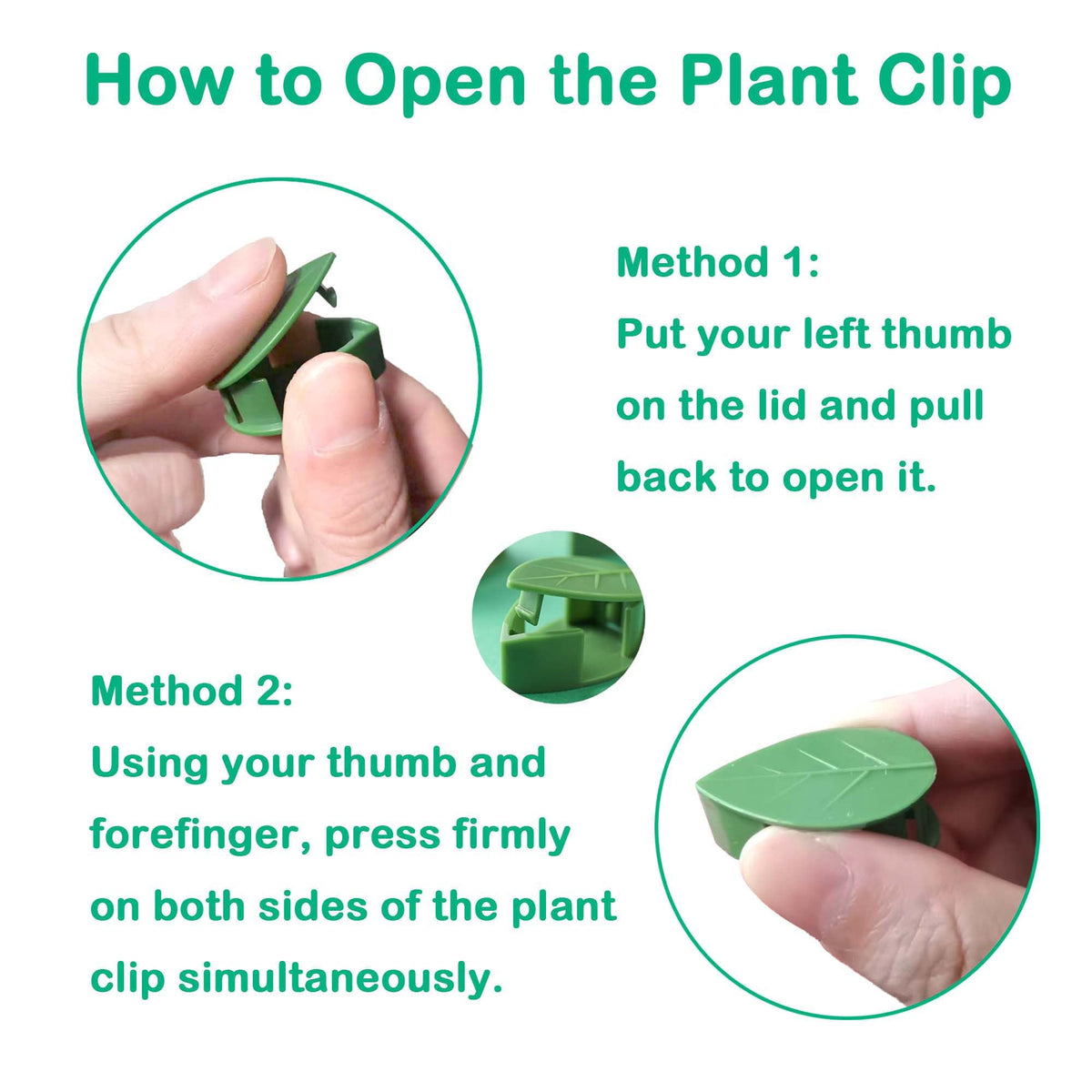 Beyoslf indoor-outdoor plant support simplifies vertical garden setup.