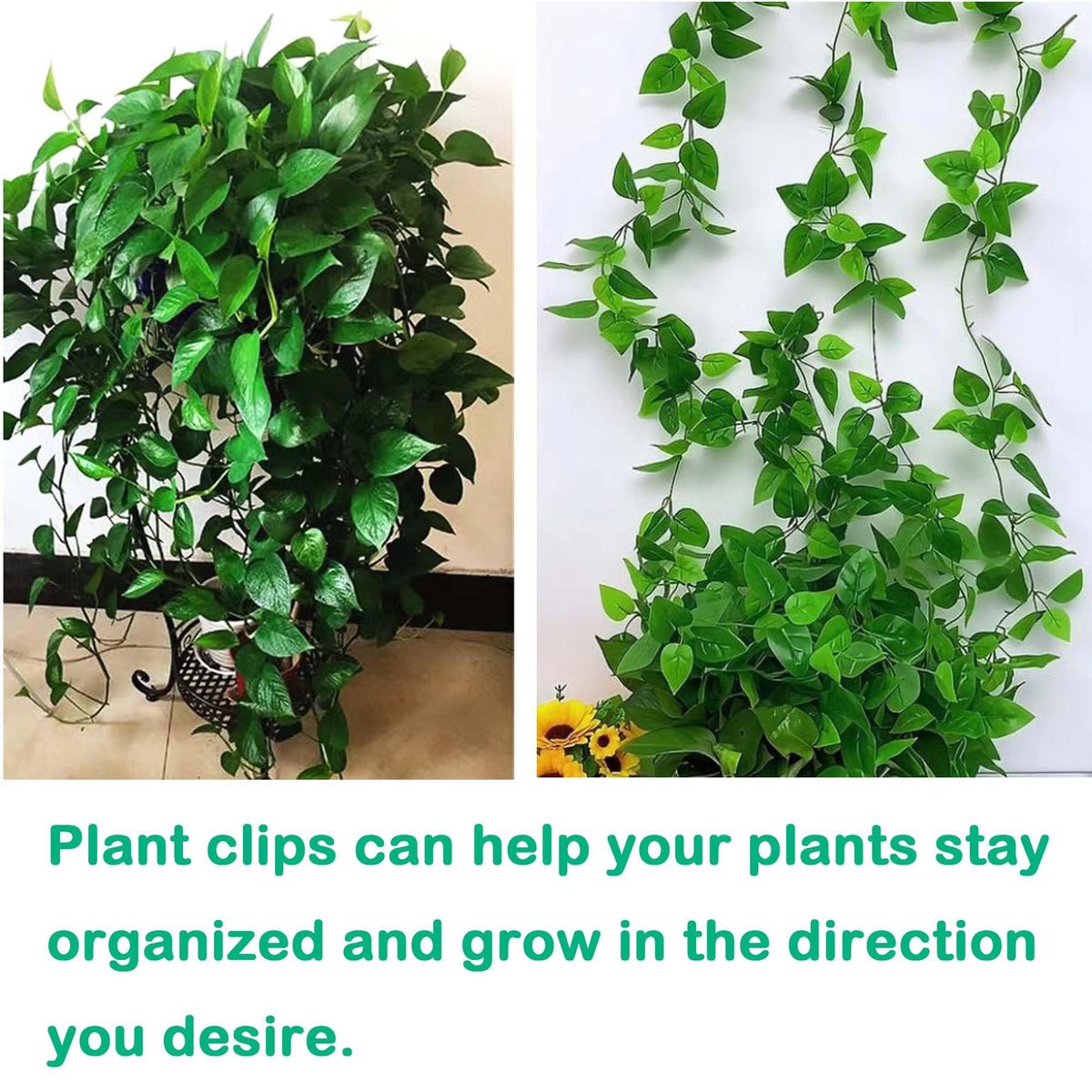 Beyoslf plant fixers organize wires while keeping plants neat.
