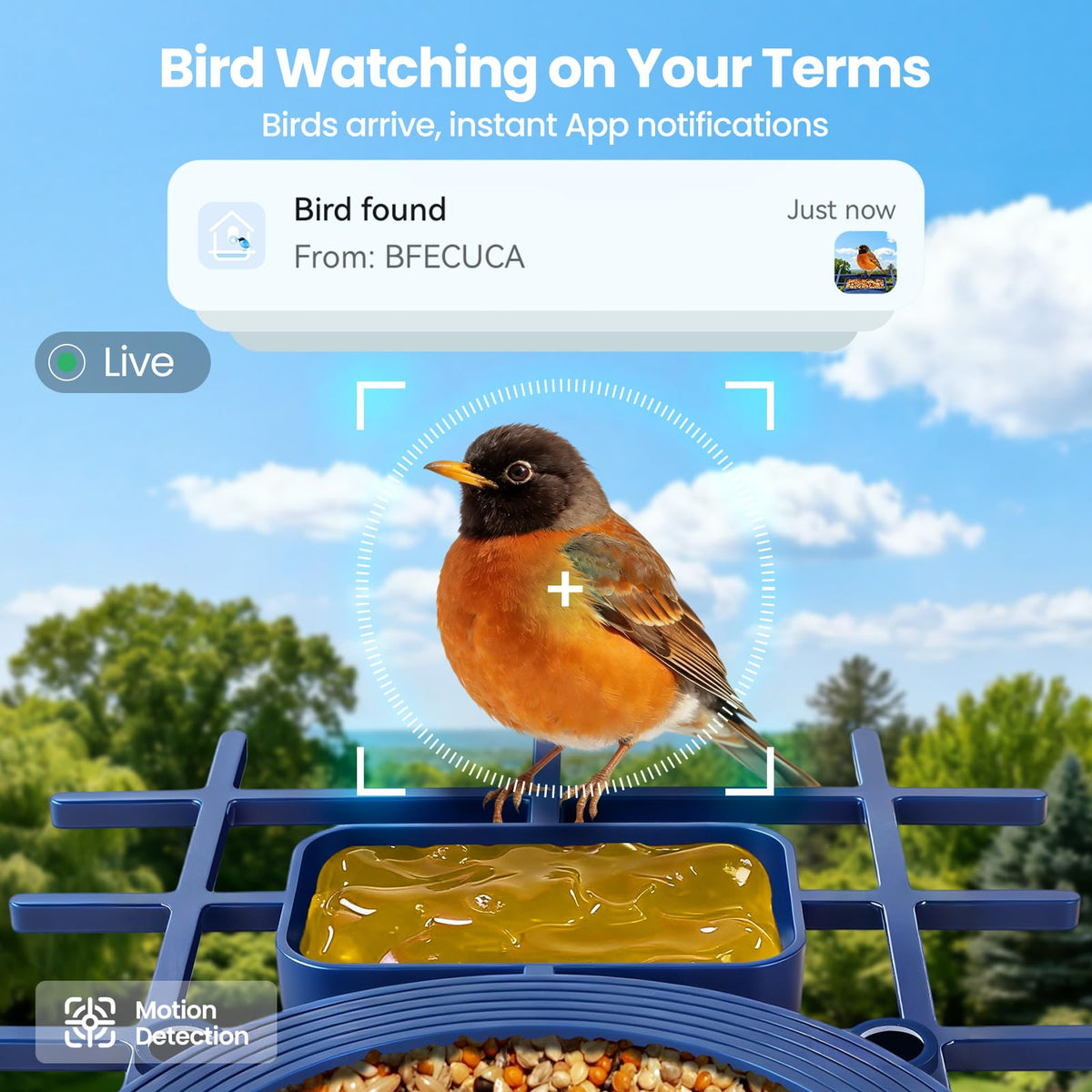 BFECUCA AI species identification highlights birds during viewing