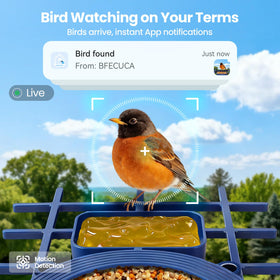 BFECUCA AI species identification highlights birds during viewing