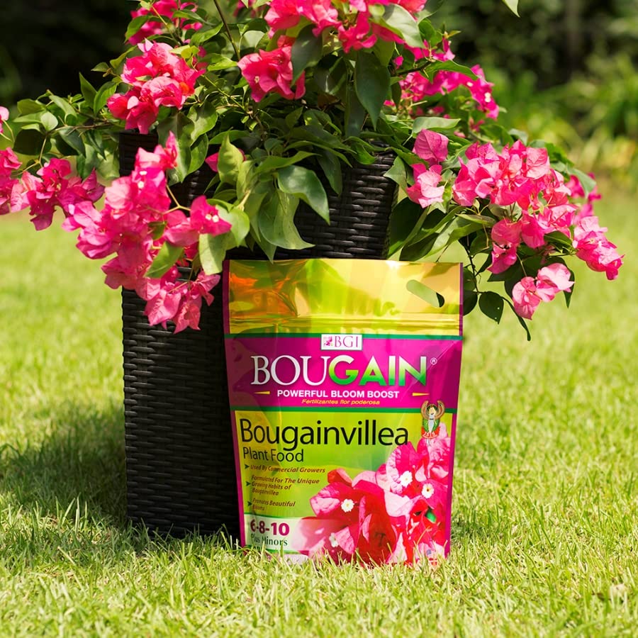 BGI Bougainvillea fertilizer granules ready for quick release feeding