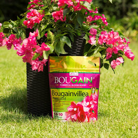 BGI Bougainvillea fertilizer granules ready for quick release feeding