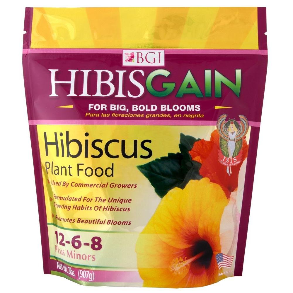 BGI HibisGAIN 2lb bag on soil supports healthy hibiscus flowering.