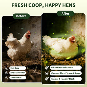 BGraceyy coop dust bath area herbs promote natural nesting comfort and hen calm.