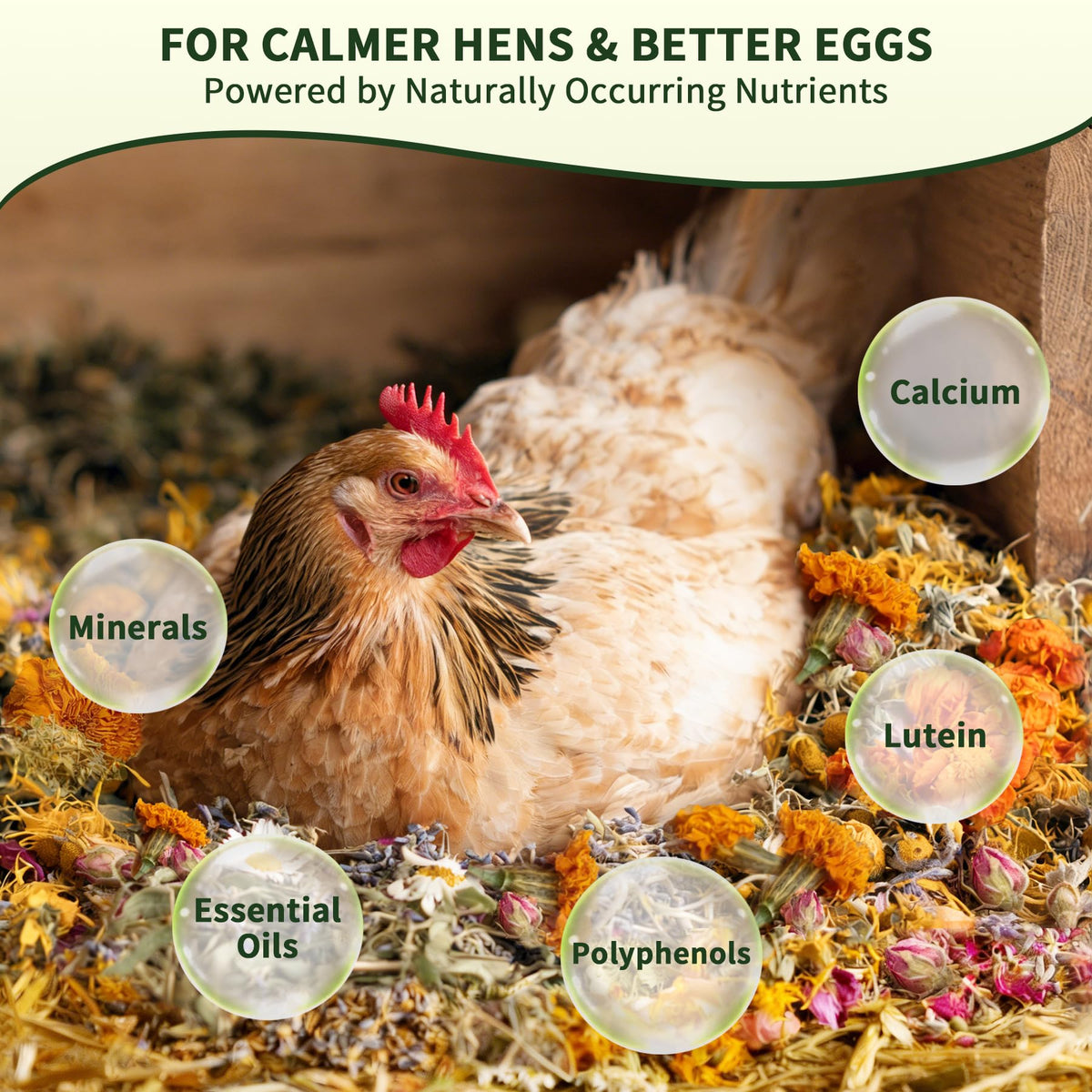 BGraceyy nesting box ease with herbal blend creates inviting nesting spaces.