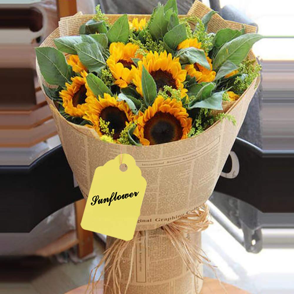 BHSKJSZ durable plastic tags resist water and sun