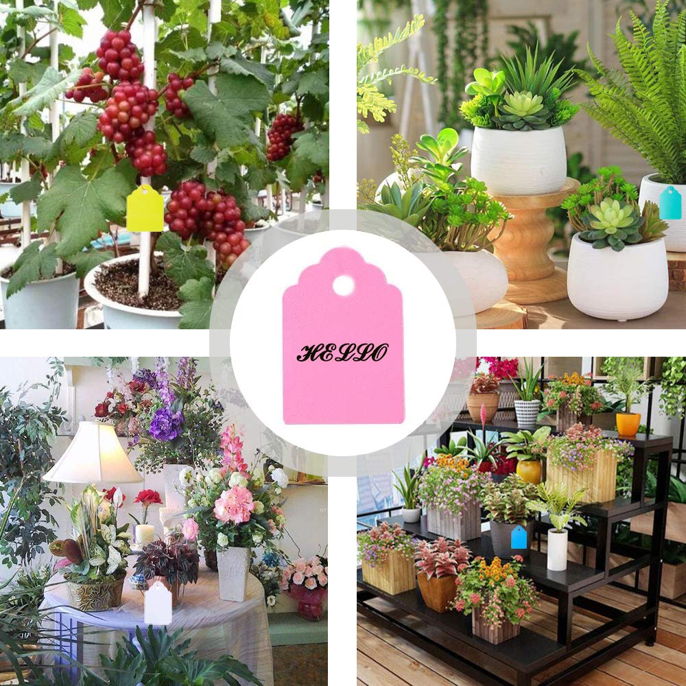 BHSKJSZ plastic labels for nurseries with easy hanging