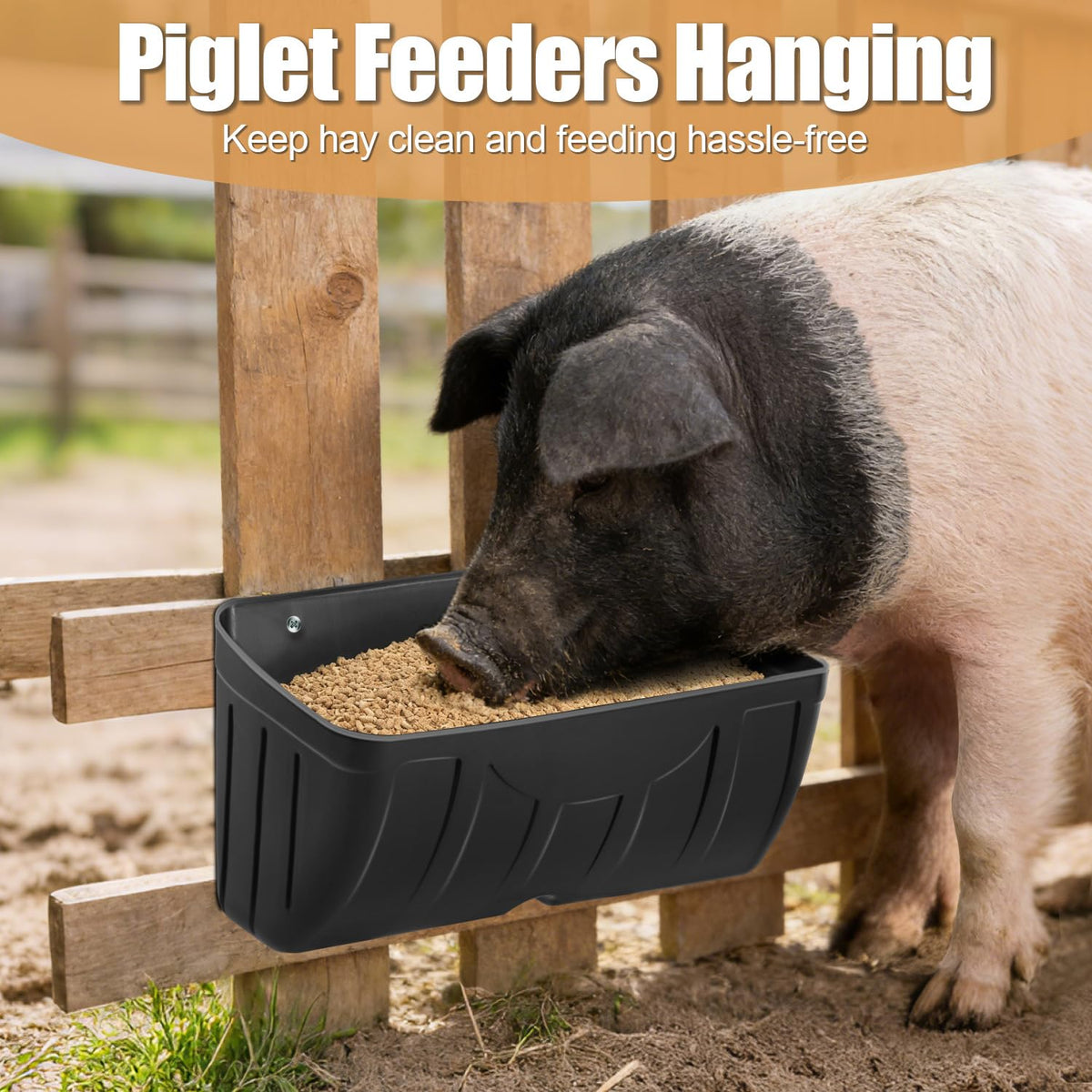 Bi Fujian feeder dimensions 11.4L x 6W x 5.3H for coop spaces