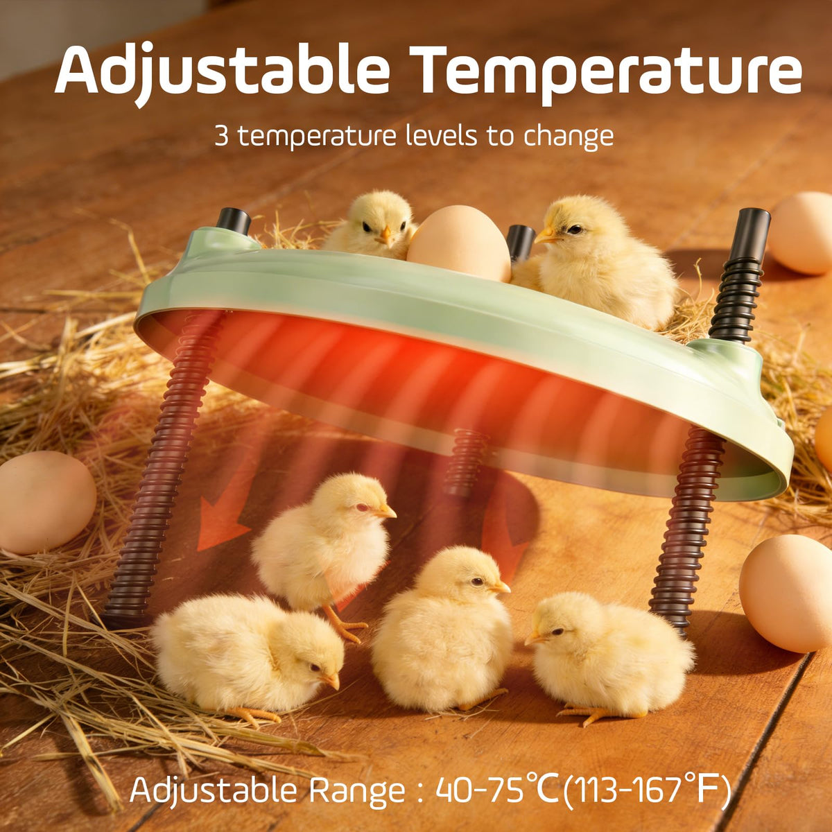 BibiBirds Brooder Plate digital display shows precise temperature