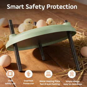 BibiBirds Brooder Plate easy clean design for quick maintenance