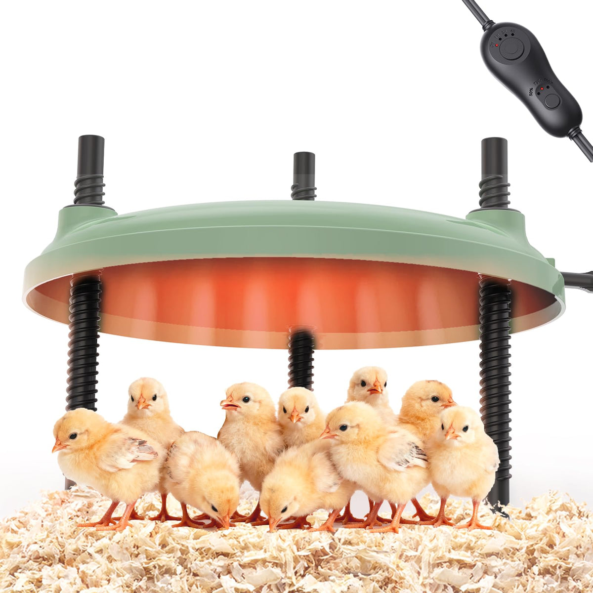 BibiBirds Brooder Plate heat panel delivering stable warmth for hatchlings in coops